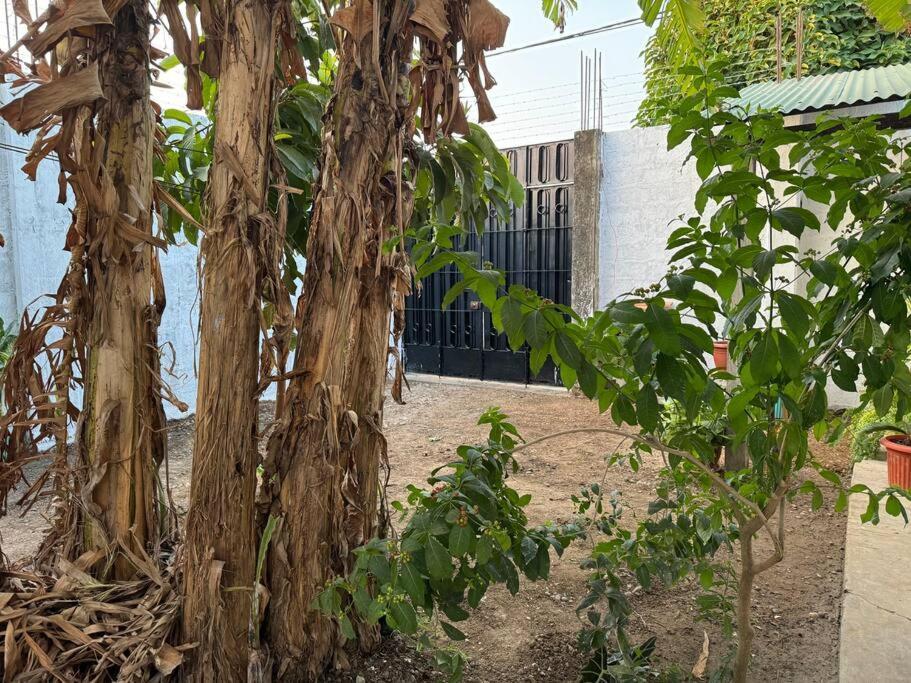 Casa Privada Con Terraza Villa Puerto Maldonado Eksteriør bilde